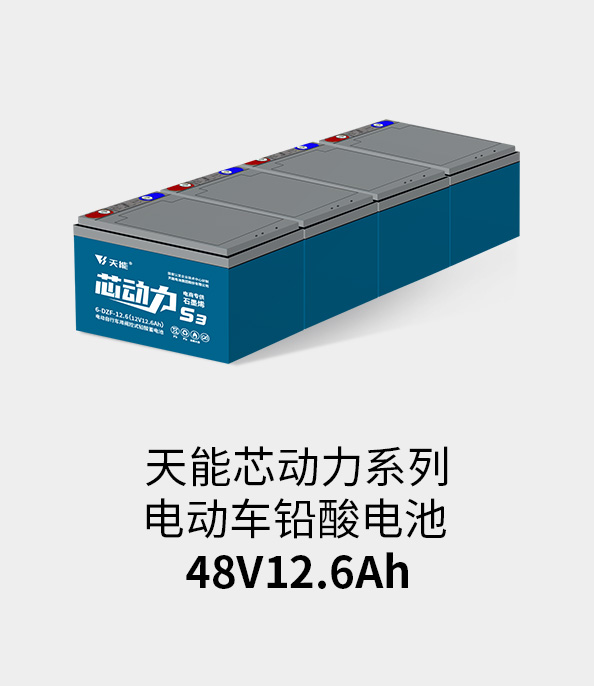 申博太阳城电池48v12ah
