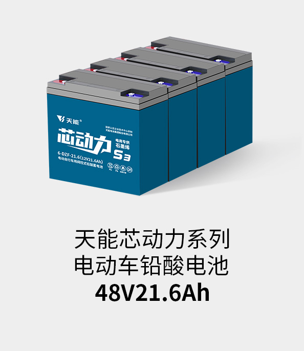 申博太阳城电池48v20ah