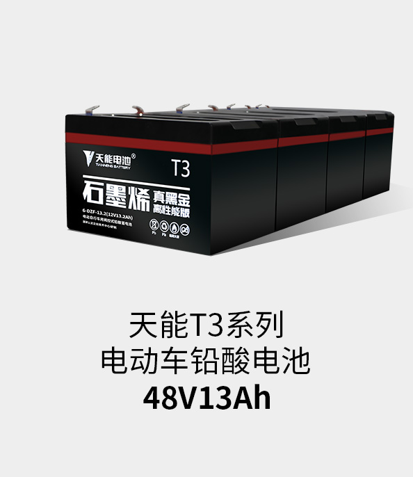 申博太阳城T3系列48v13ah